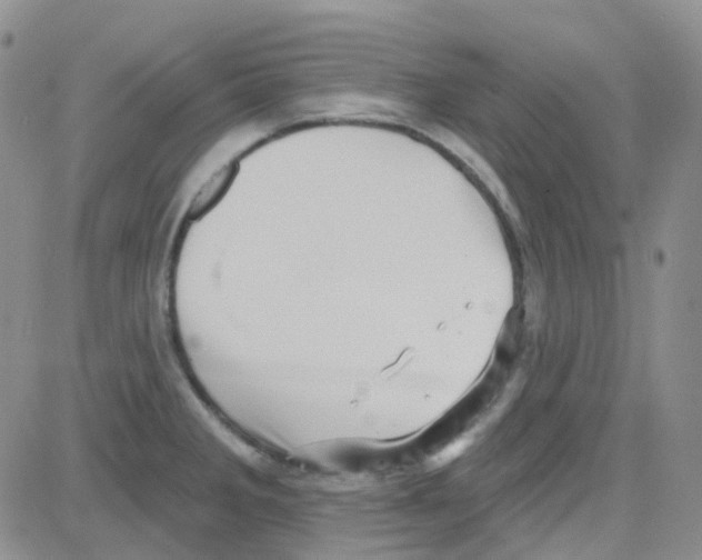 X0000082731285200702232338