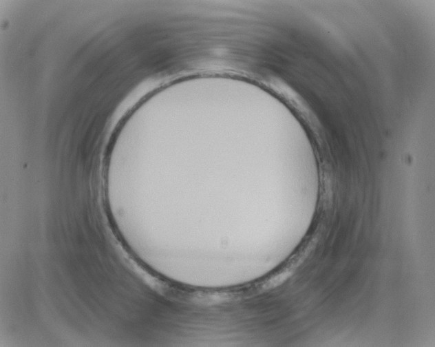 X0000082731286200702232337