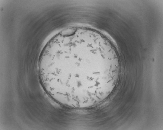 X0000082731287200702232337