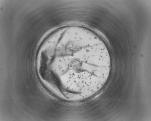 X0000082731288200702232337