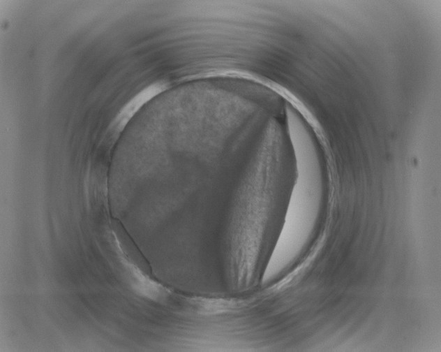 X0000082731289200702232337