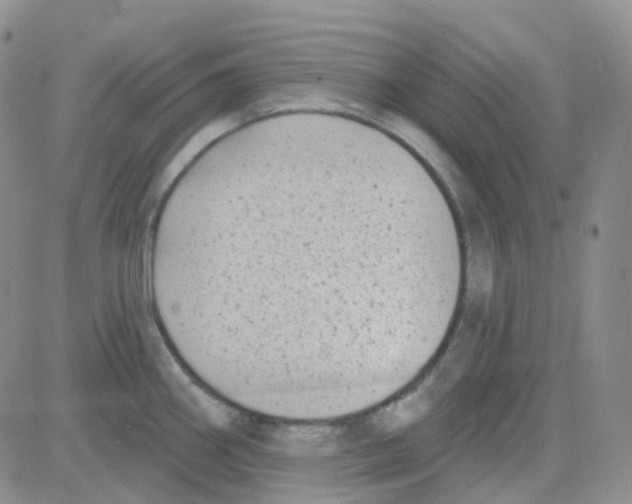 X0000082731290200702232337