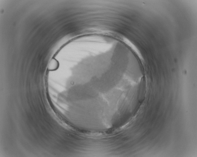 X0000082731291200702232337