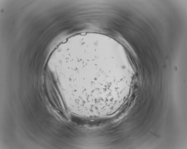 X0000082731292200702232337