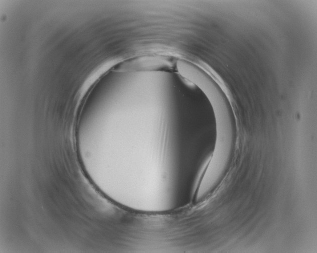 X0000082731293200702232337