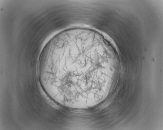 X0000082731295200702232337