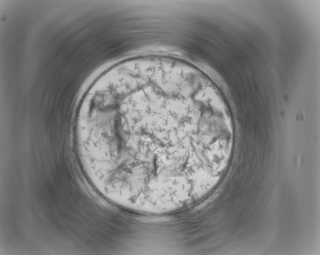 X0000082731296200702232337