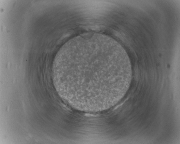 X0000082731297200702232337