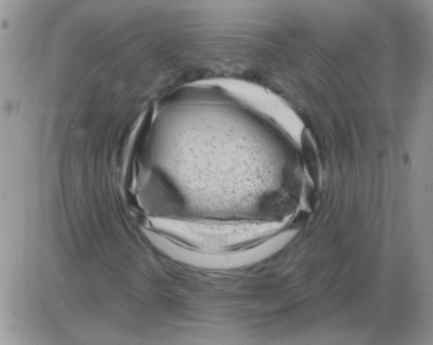 X0000082731298200702232337