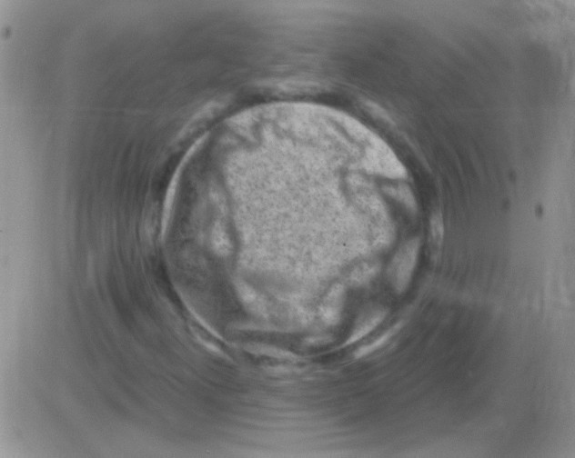 X0000082731300200702232337