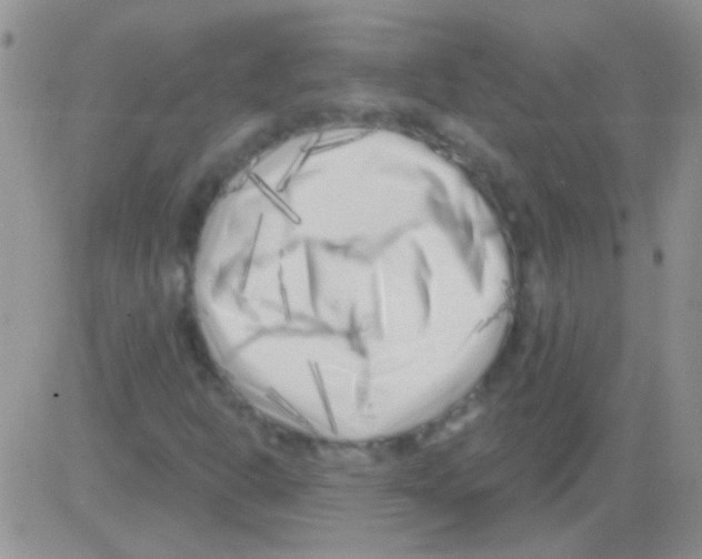 X0000082731302200702232337