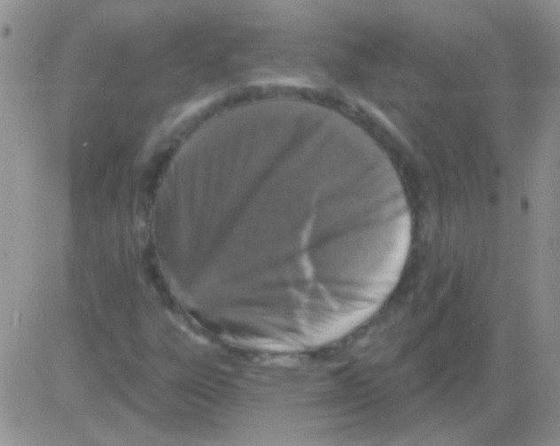 X0000082731303200702232337