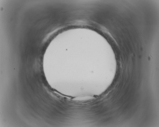 X0000082731304200702232337