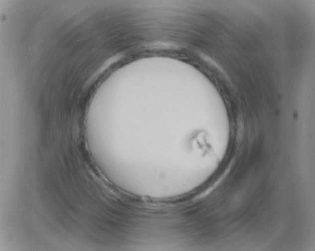 X0000082731305200702232337