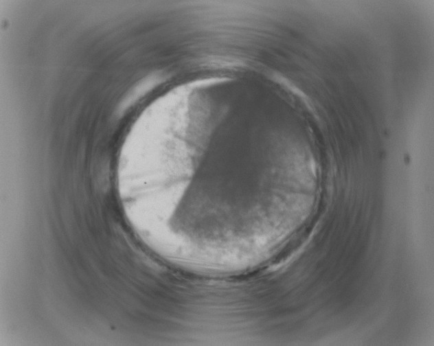 X0000082731306200702232337