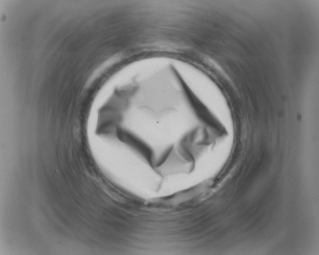 X0000082731307200702232337