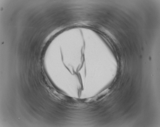 X0000082731308200702232337