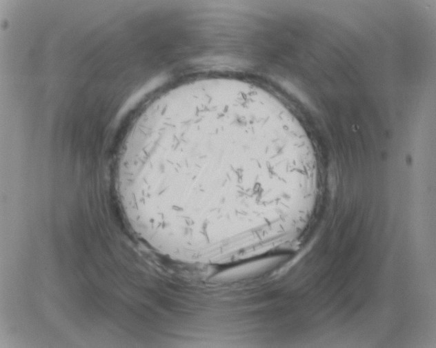 X0000082731309200702232337