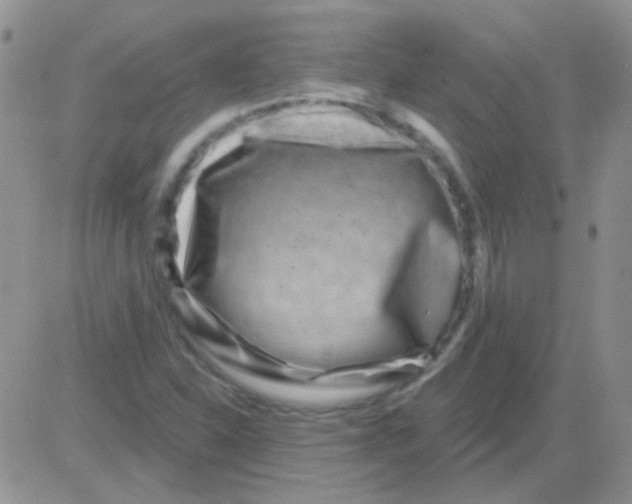 X0000082731310200702232337