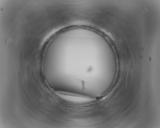 X0000082731311200702232337