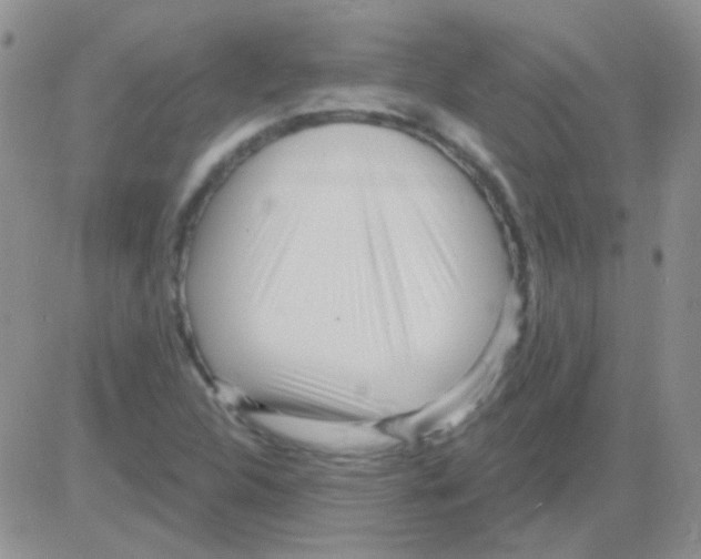 X0000082731312200702232337