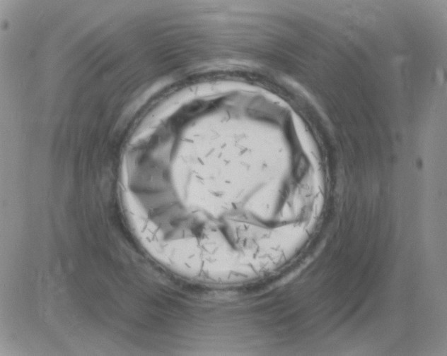 X0000082731313200702232337