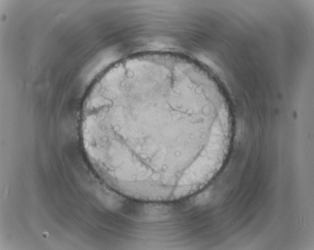 X0000082731314200702232337