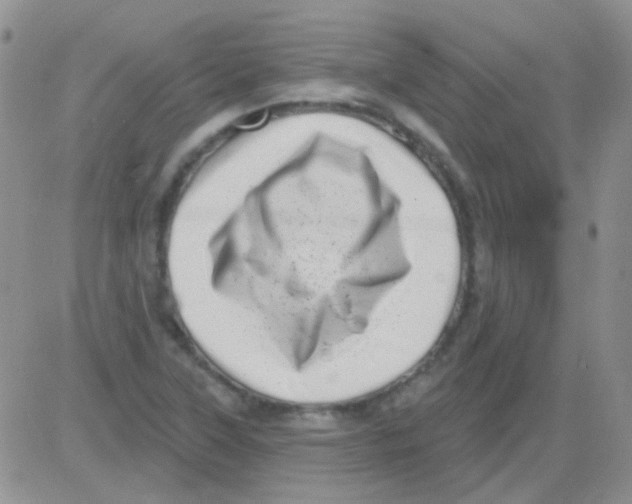 X0000082731315200702232337