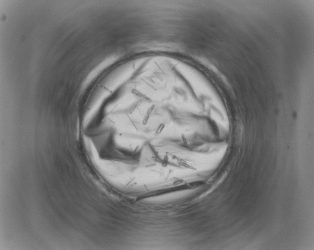 X0000082731317200702232337