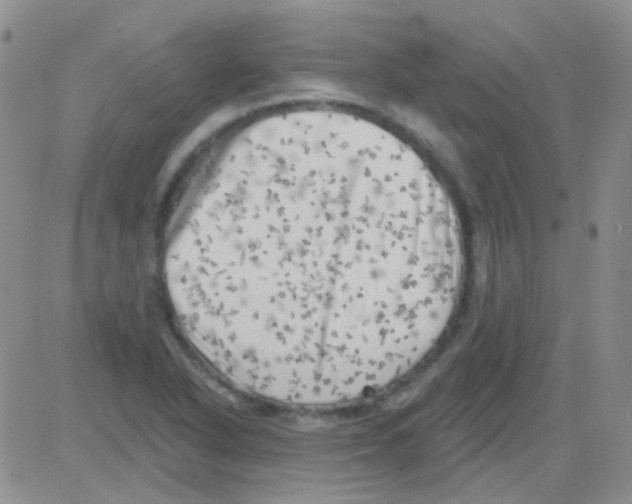 X0000082731318200702232337