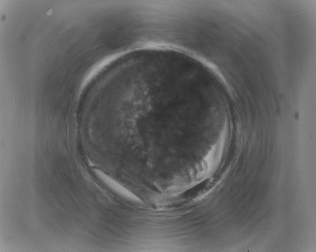 X0000082731319200702232337