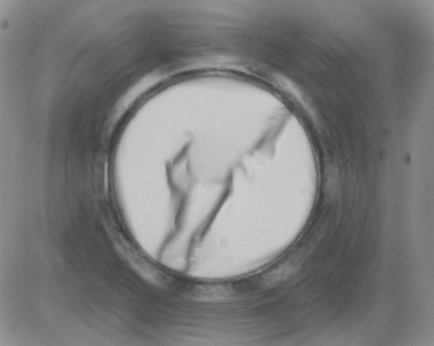 X0000082731320200702232337