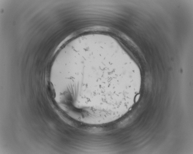 X0000082731321200702232337