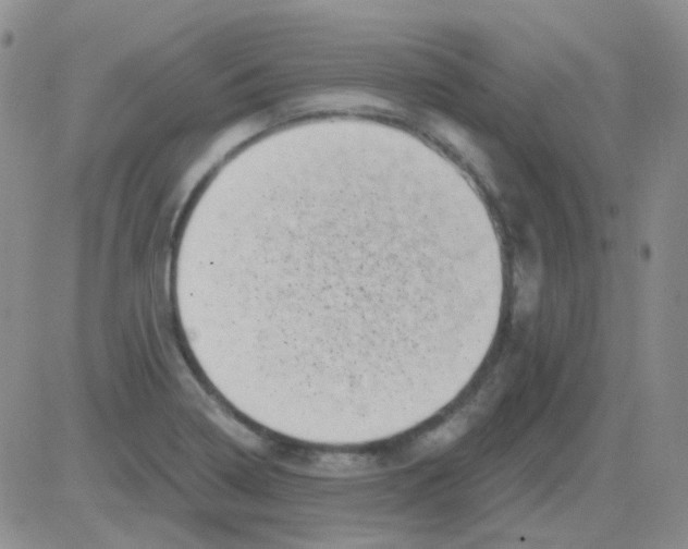 X0000082731322200702232337