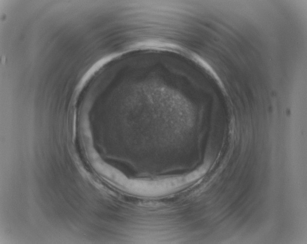 X0000082731323200702232337