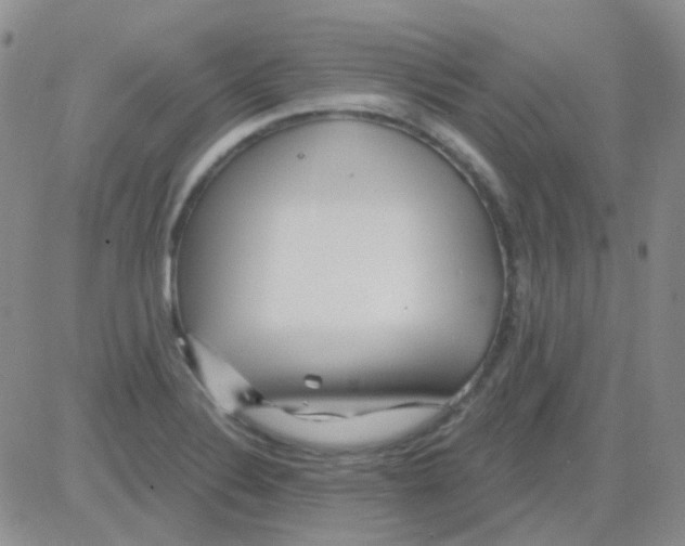 X0000082731324200702232337