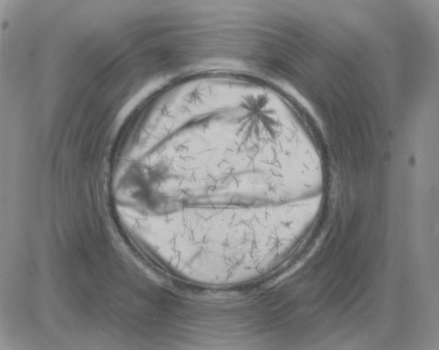 X0000082731325200702232337