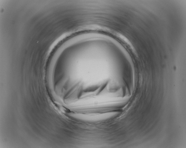 X0000082731326200702232337