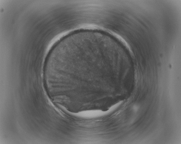 X0000082731327200702232337