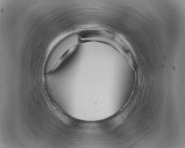 X0000082731328200702232337