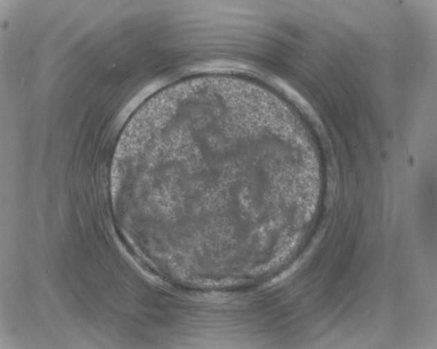 X0000082731329200702232337