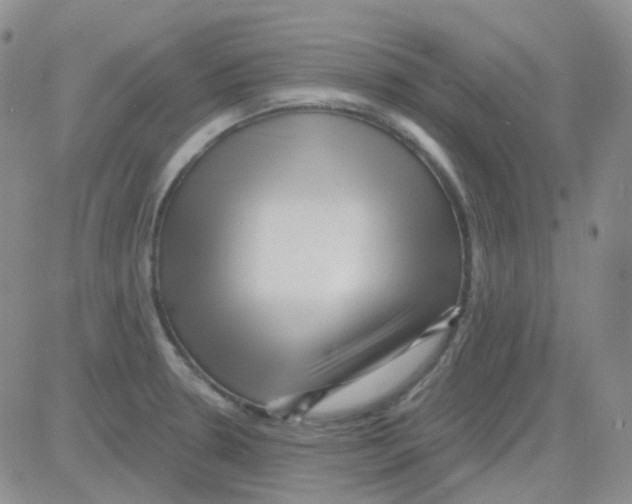 X0000082731330200702232337