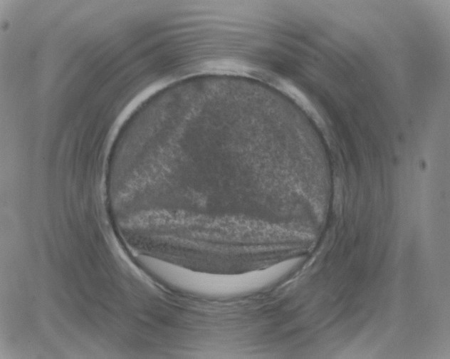 X0000082731331200702232337