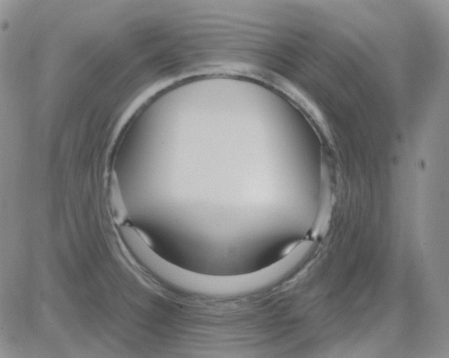 X0000082731332200702232337