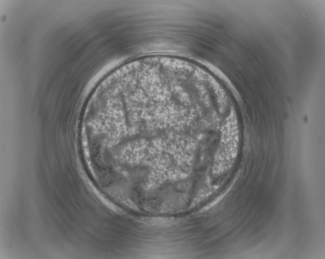 X0000082731333200702232337