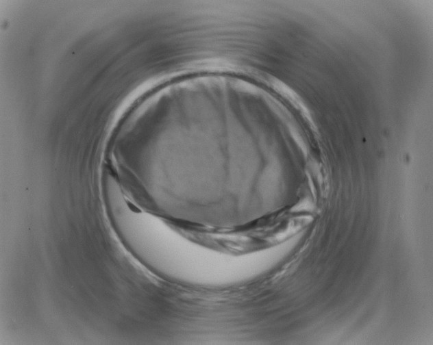 X0000082731334200702232337