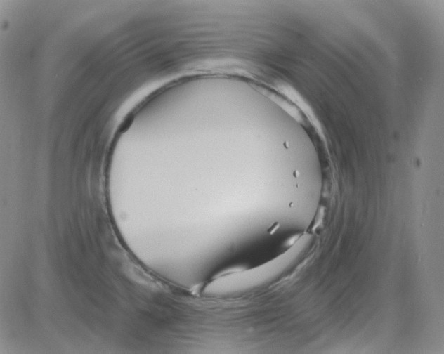 X0000082731336200702232337