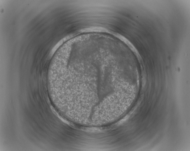 X0000082731337200702232337