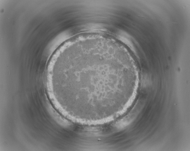 X0000082731338200702232337