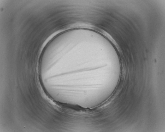 X0000082731339200702232337